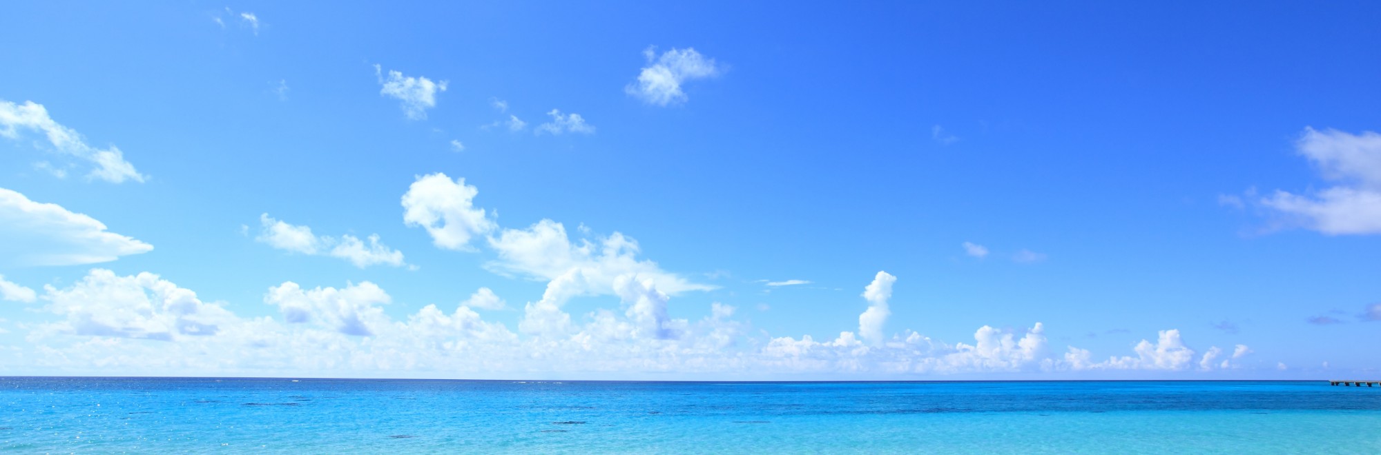 キービジュアルイメージ01