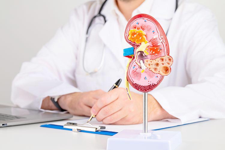 泌尿器科のイメージ写真